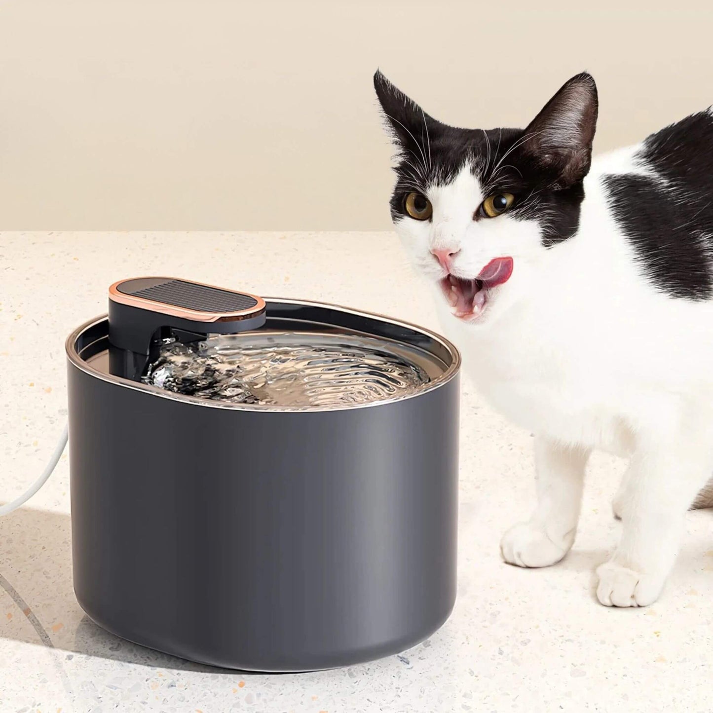 fontaine-a-eau-pour-chat-noir