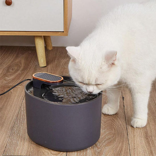 fontaine-a-eau-pour-chat-ovale