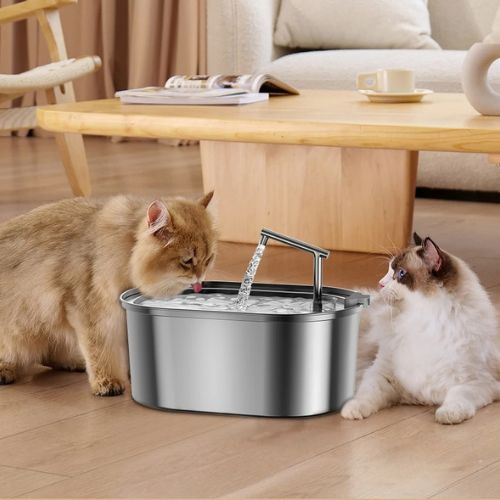 fontaine-a-eau-pour-chat-pure