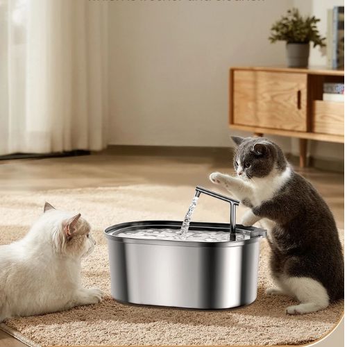 fontaine-a-eau-pour-chat-saine