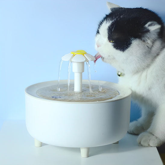 fontaine-a-eau-pour-chat-soif