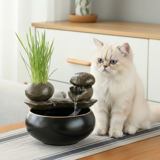 fontaine ceramique chat herbe zen