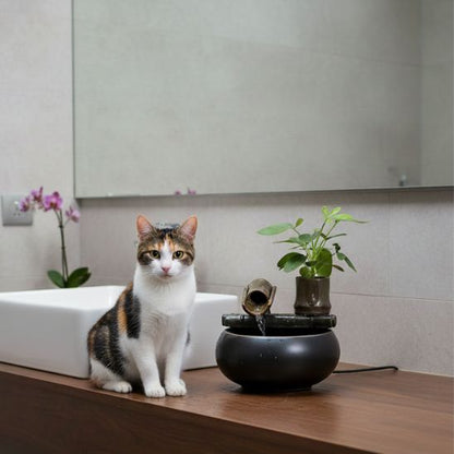 fontaine-ceramique-chat-unique