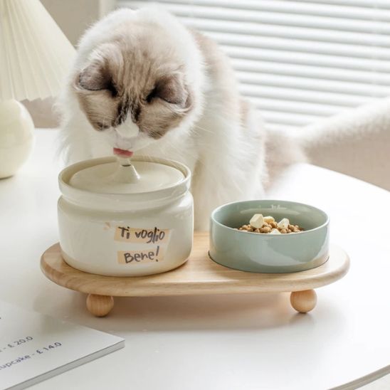 fontaine chat ceramique beige
