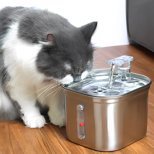 fontaine-eau-chat-acier