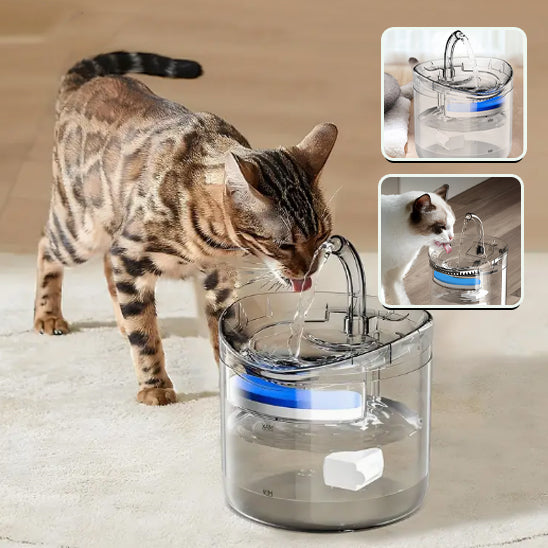 fontaine-eau-chat-design