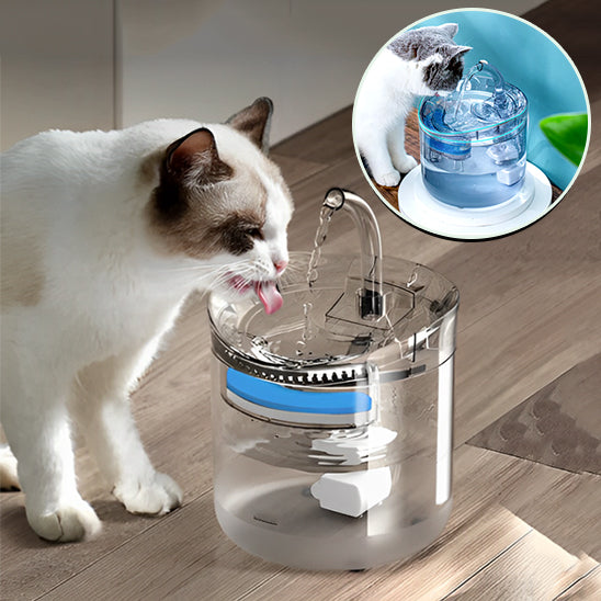 fontaine-eau-chat-hydratation