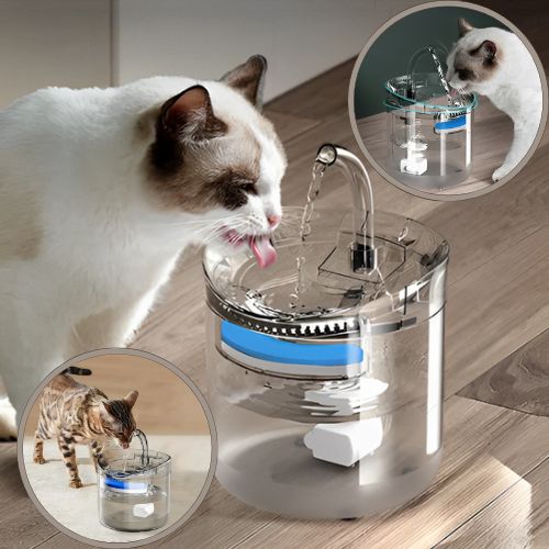 fontaine-eau-chat-pratique