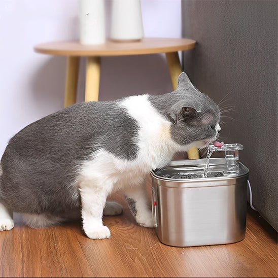 fontaine eau chat | SILVER WATER - Happy minet