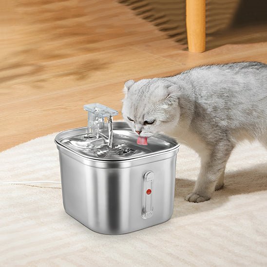 fontaine eau chat | SILVER WATER - Happy minet