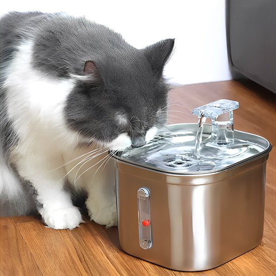 fontaine eau chat | SILVER WATER - Happy minet