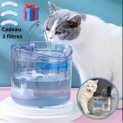 fontaine-eau-chat-source-limpide