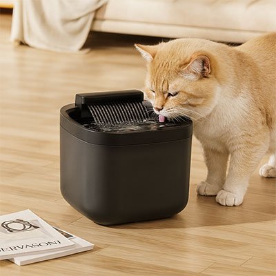 fontaine-eau-chat-sourcevive-noir