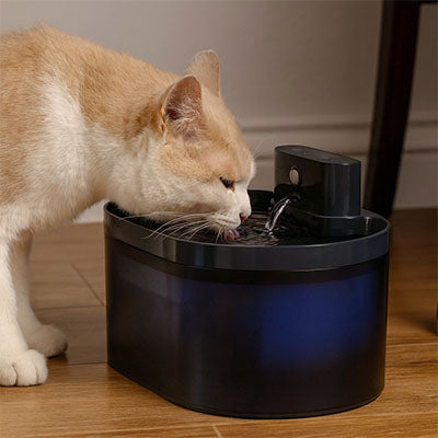 fontaine-pour-chat-hydrosansfil-design