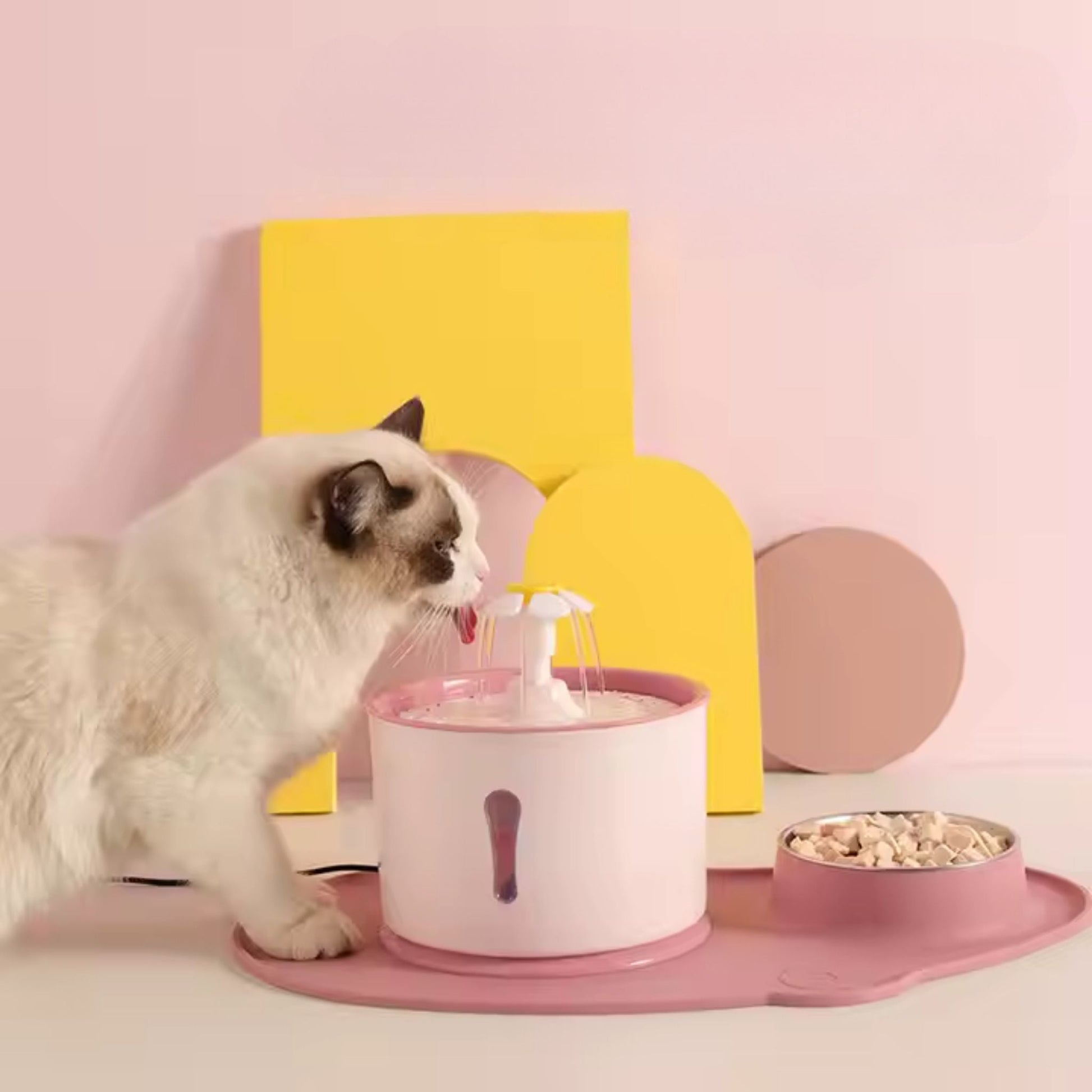 fontaine-pour-chat-plateau-rose-feline