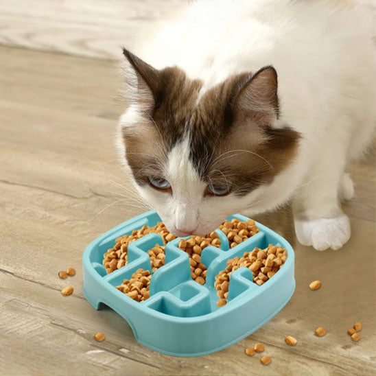 gamelle-anti-glouton-chat-bleue