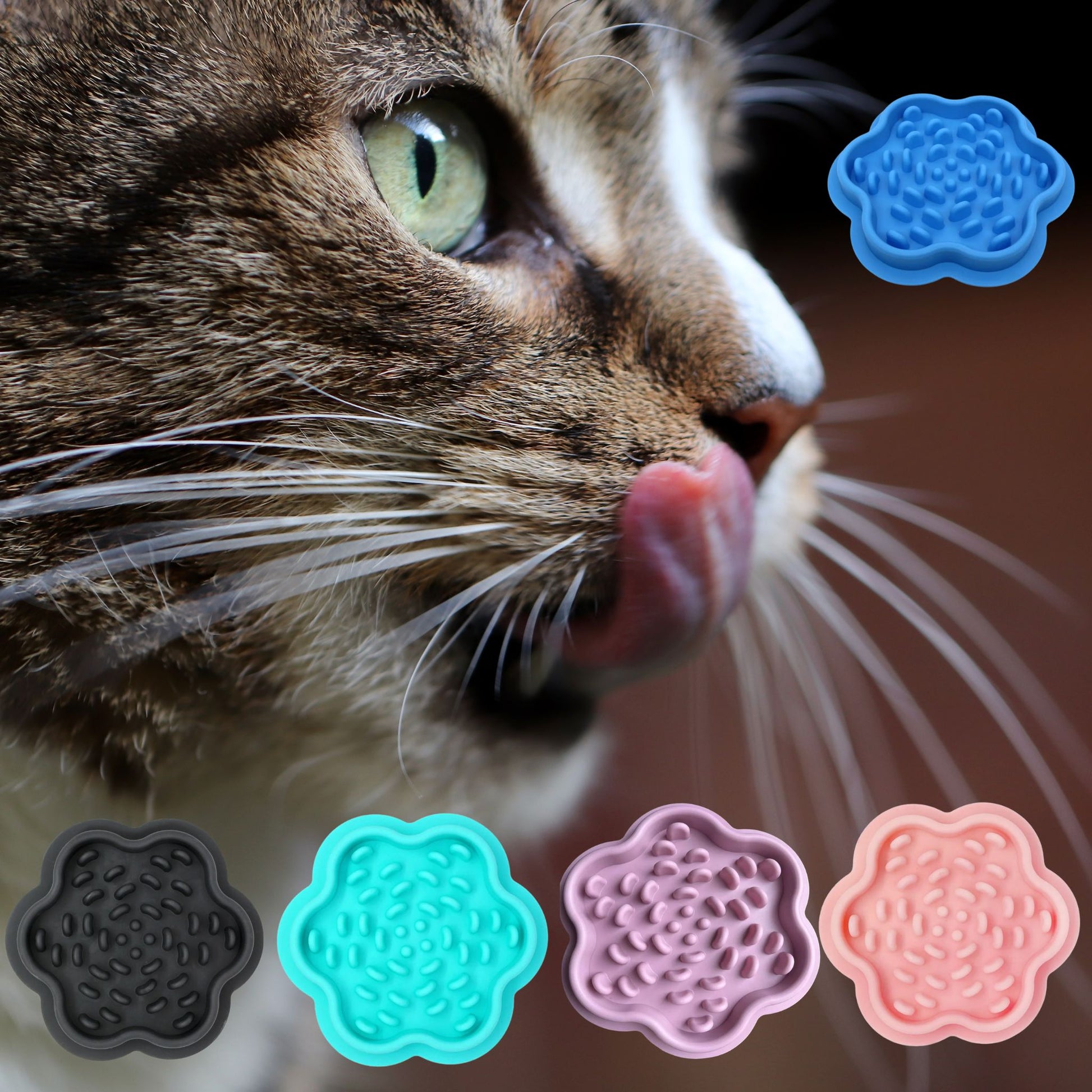 gamelle-anti-glouton-chat-miam-modéré-coloris
