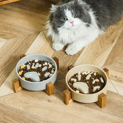 gamelle anti-glouton chat gourmande