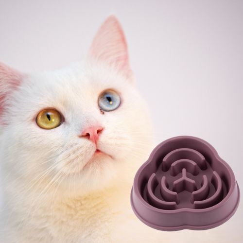 gamelle-anti-glouton-chat-violette