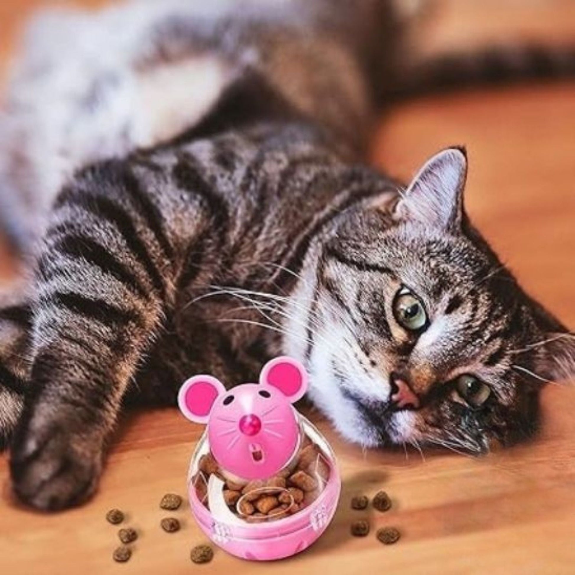 gamelle anti - glouton | DISTRI MOUSE - Happy minet