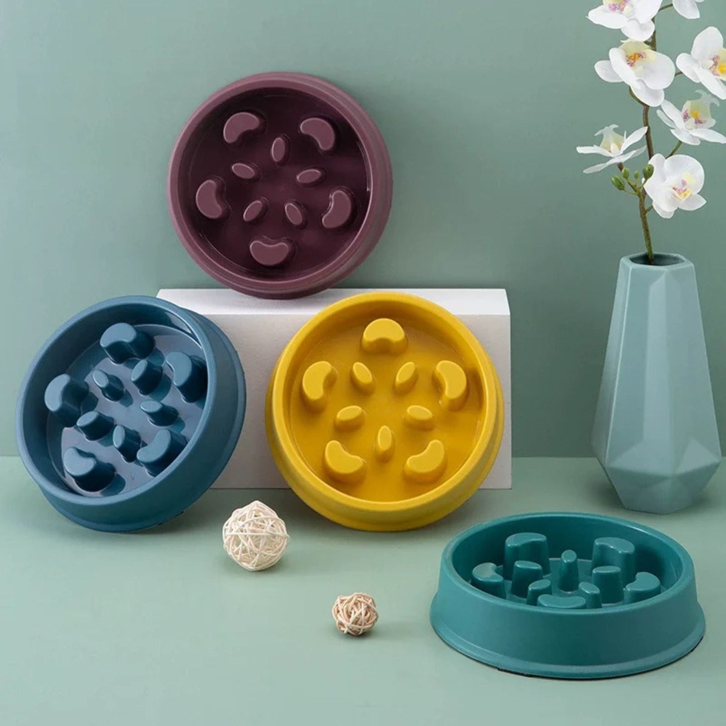 gamelle anti glouton | REPAS DU GLOUTON - Happy minet