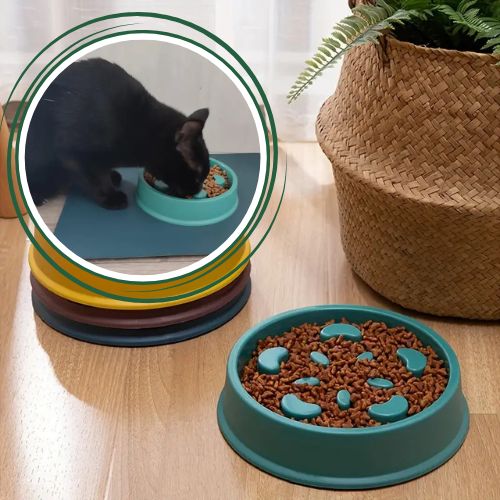 gamelle anti glouton | REPAS DU GLOUTON - Happy minet