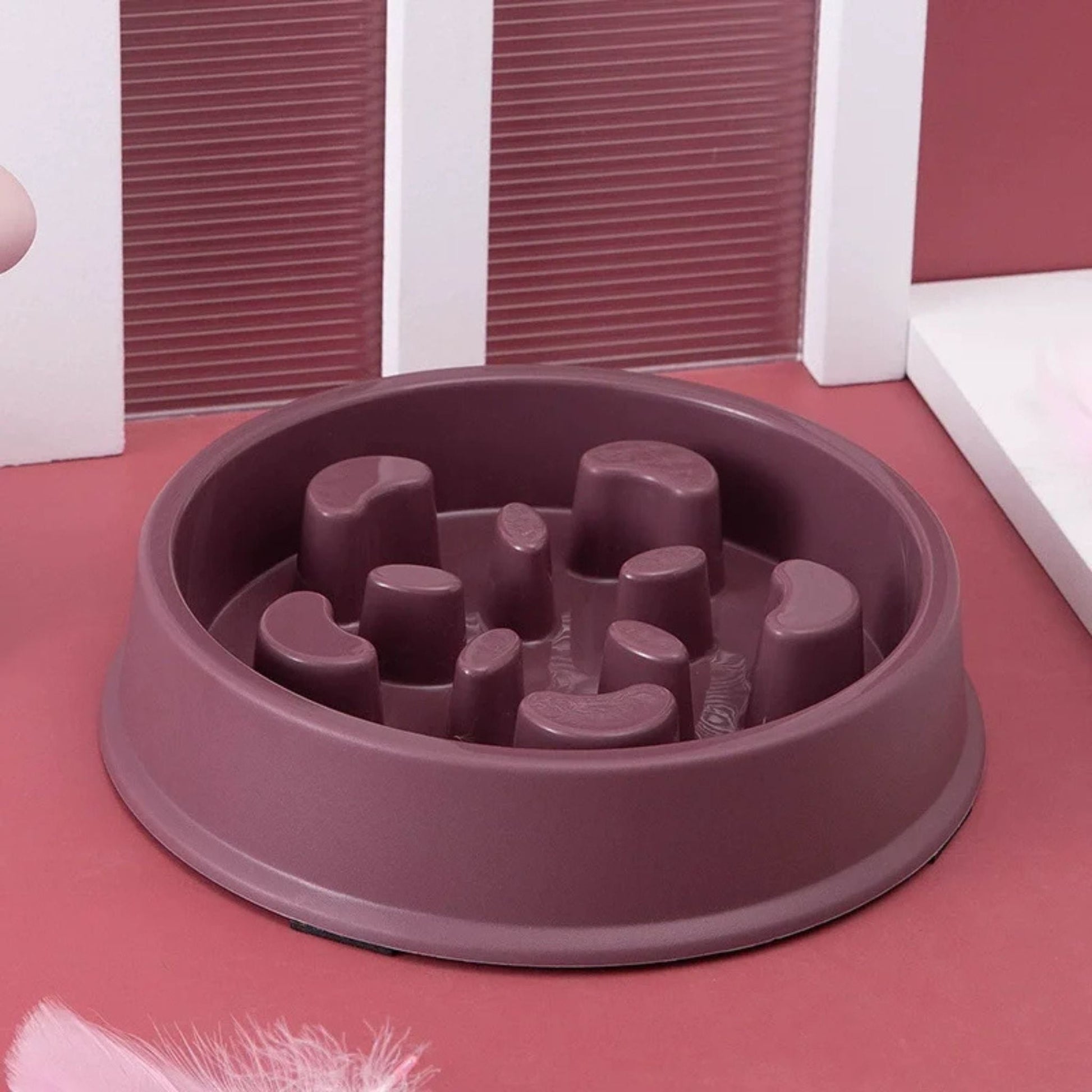 gamelle anti glouton | REPAS DU GLOUTON - Happy minet