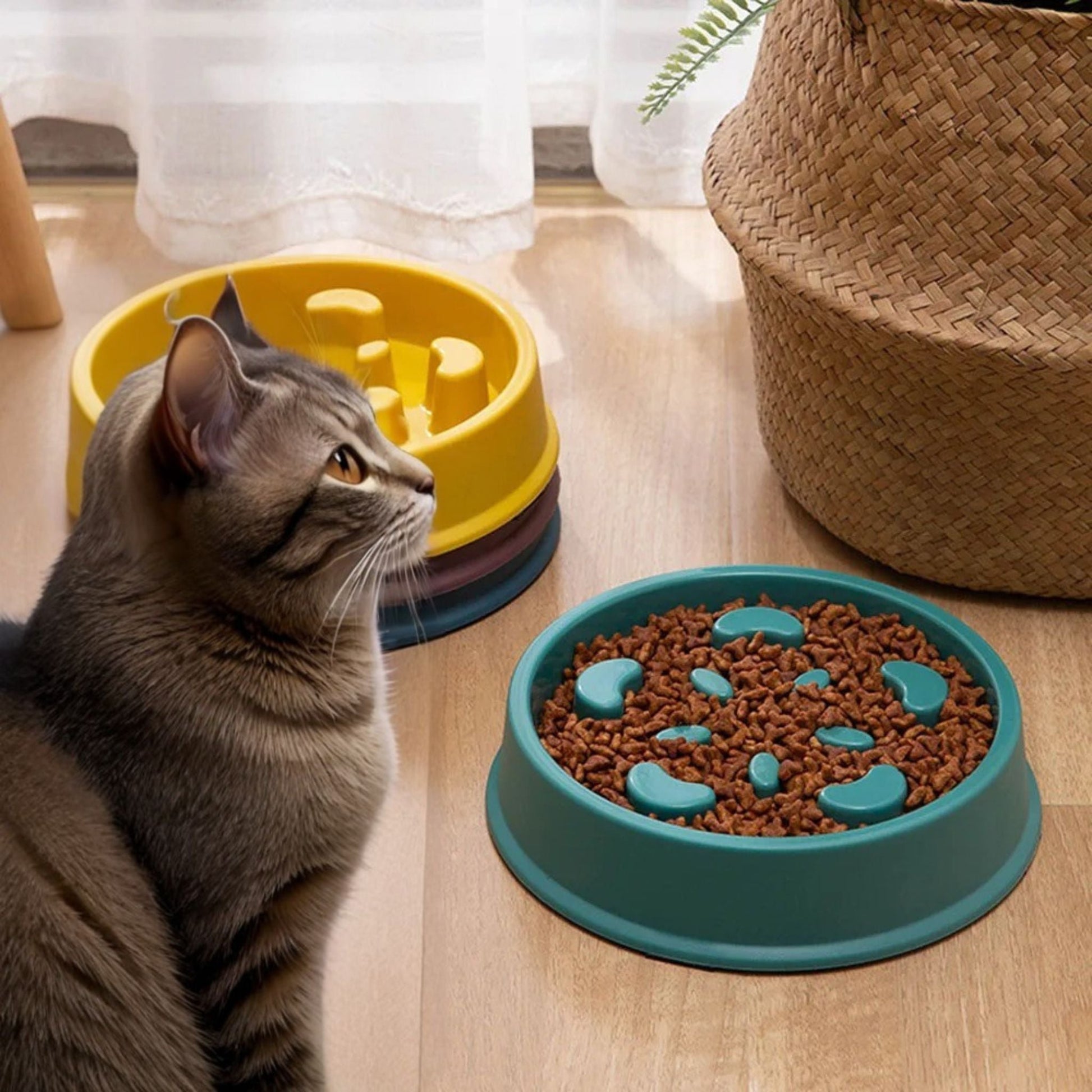 gamelle anti glouton | REPAS DU GLOUTON - Happy minet