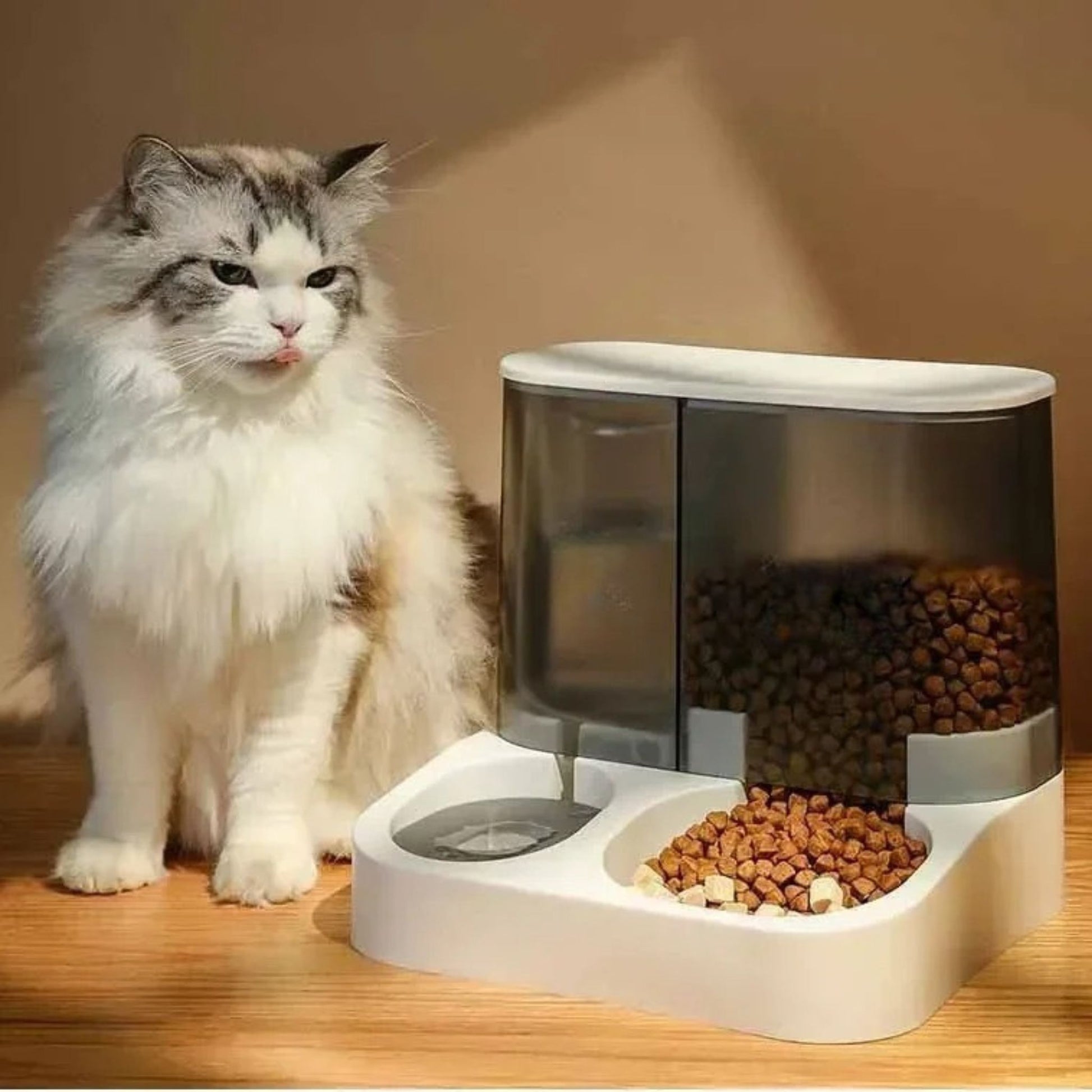 gamelle-automatique-chat-automatic-distri