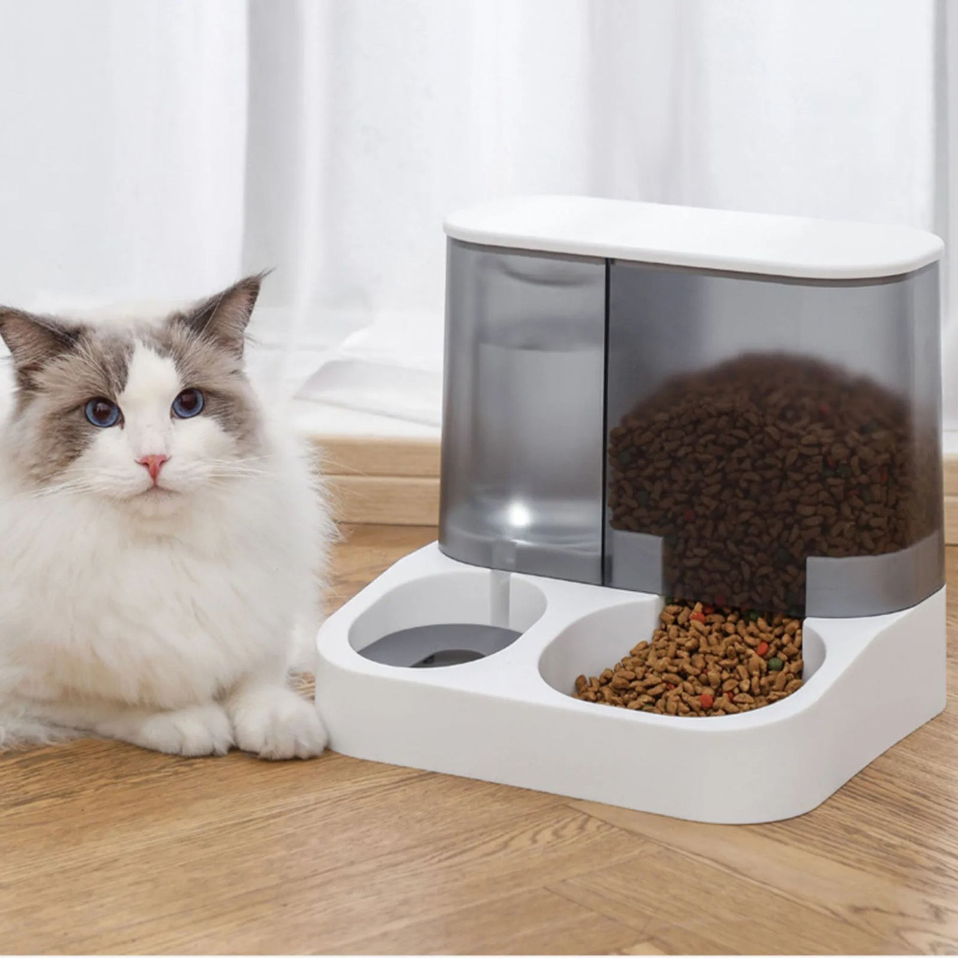 gamelle-automatique-chat-blanche