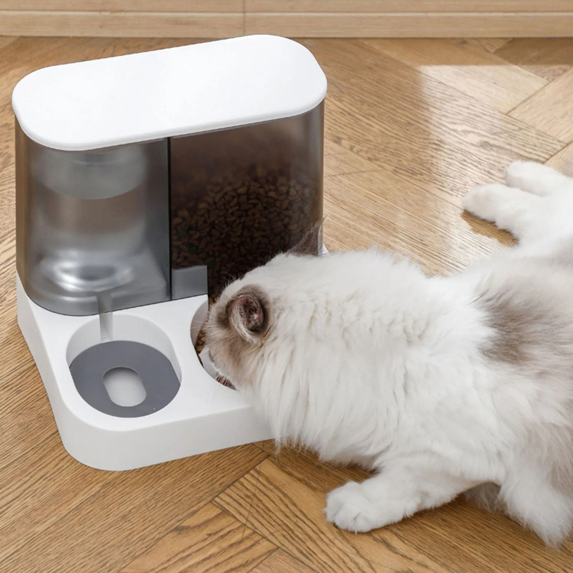 gamelle-automatique-chat-capacité