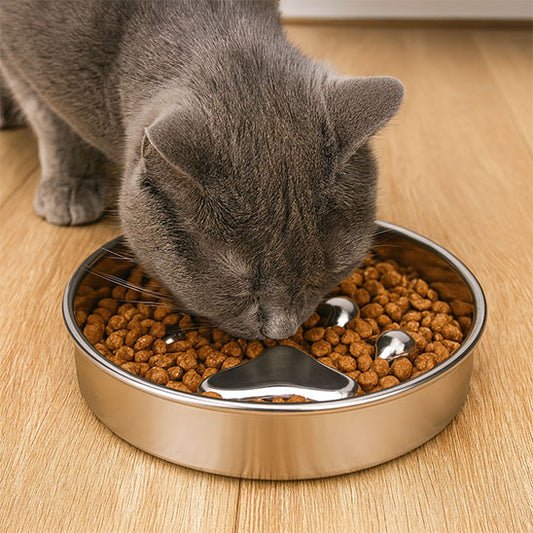 gamelle-chat-anti-glouton-durable