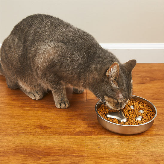 gamelle-chat-anti-glouton-élégante