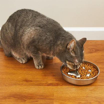 gamelle-chat-anti-glouton-élégante