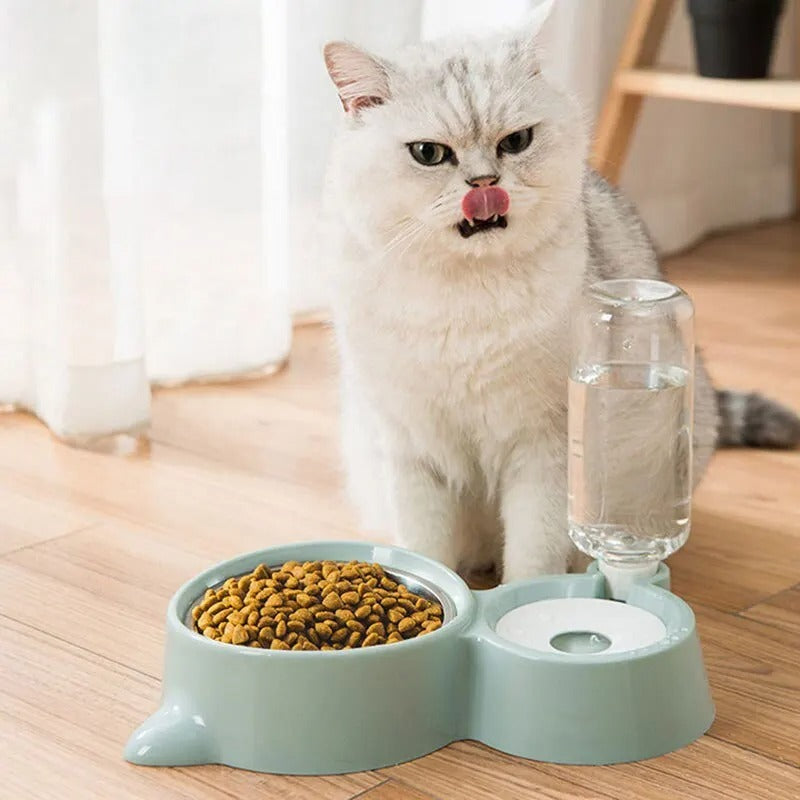 gamelle-chat-duo