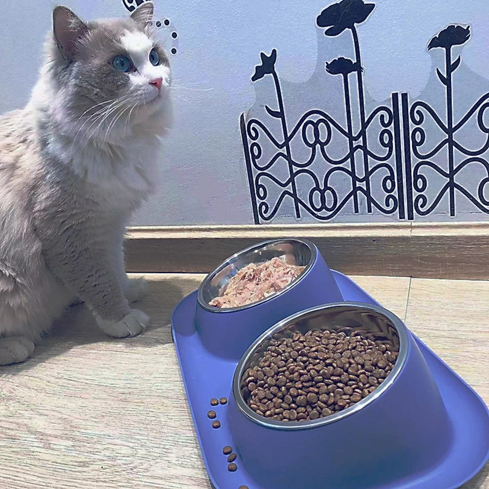 gamelle-chat-esthétique