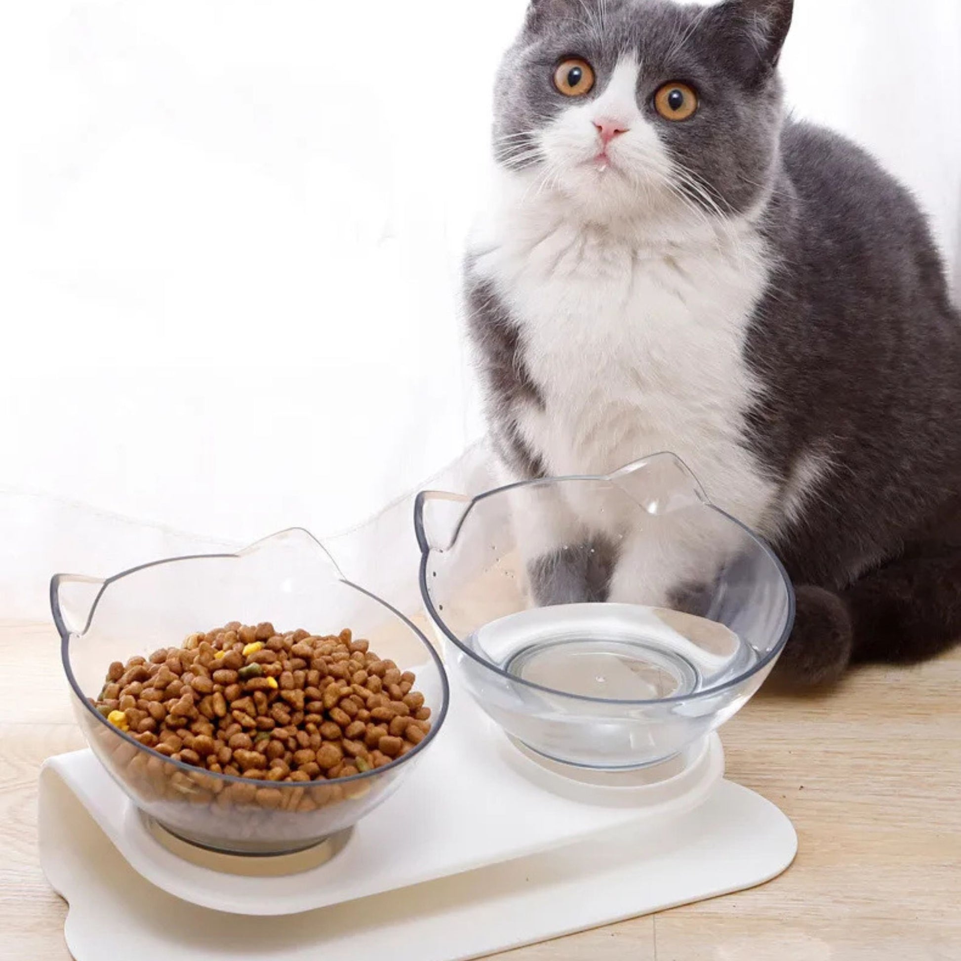 gamelle-chat-inclinée-double