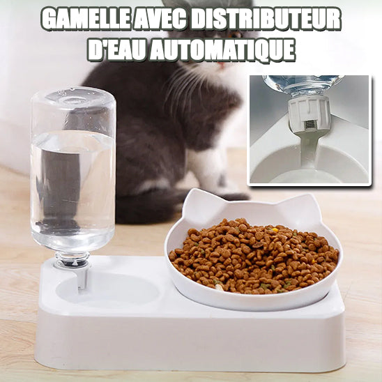 gamelle-chat-surélevée-hydratation