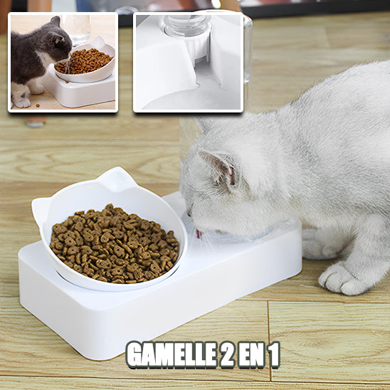 gamelle-chat-surélevée-2en1