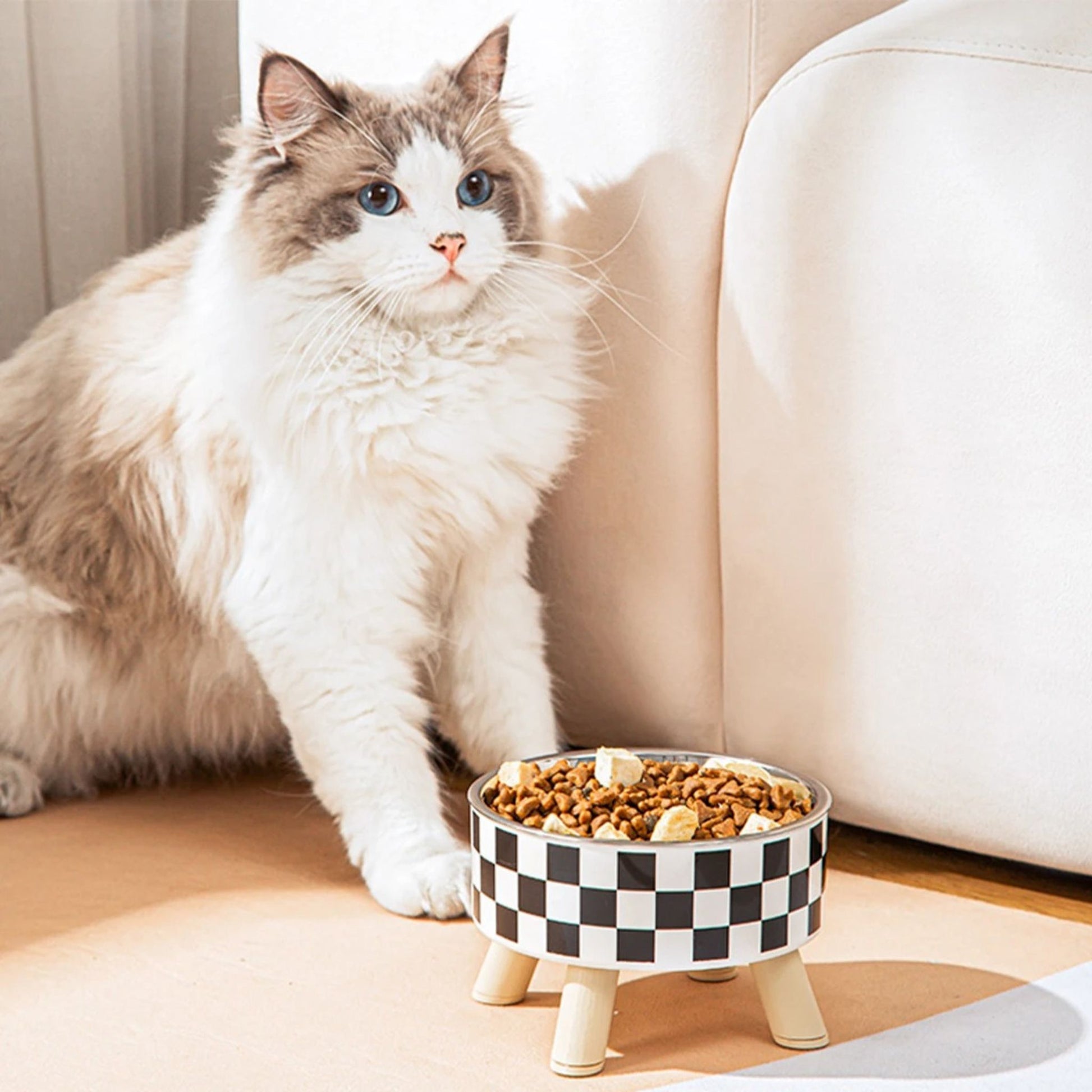 gamelle-chat-surélevée-agréable