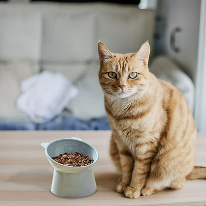 gamelle-chat-surélevée-bleu