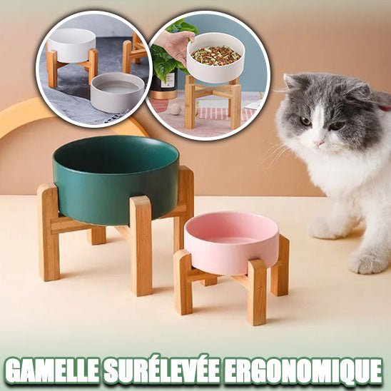 Gamelle-chat-surélevée-modulable| chasavour ™ - Happy minet