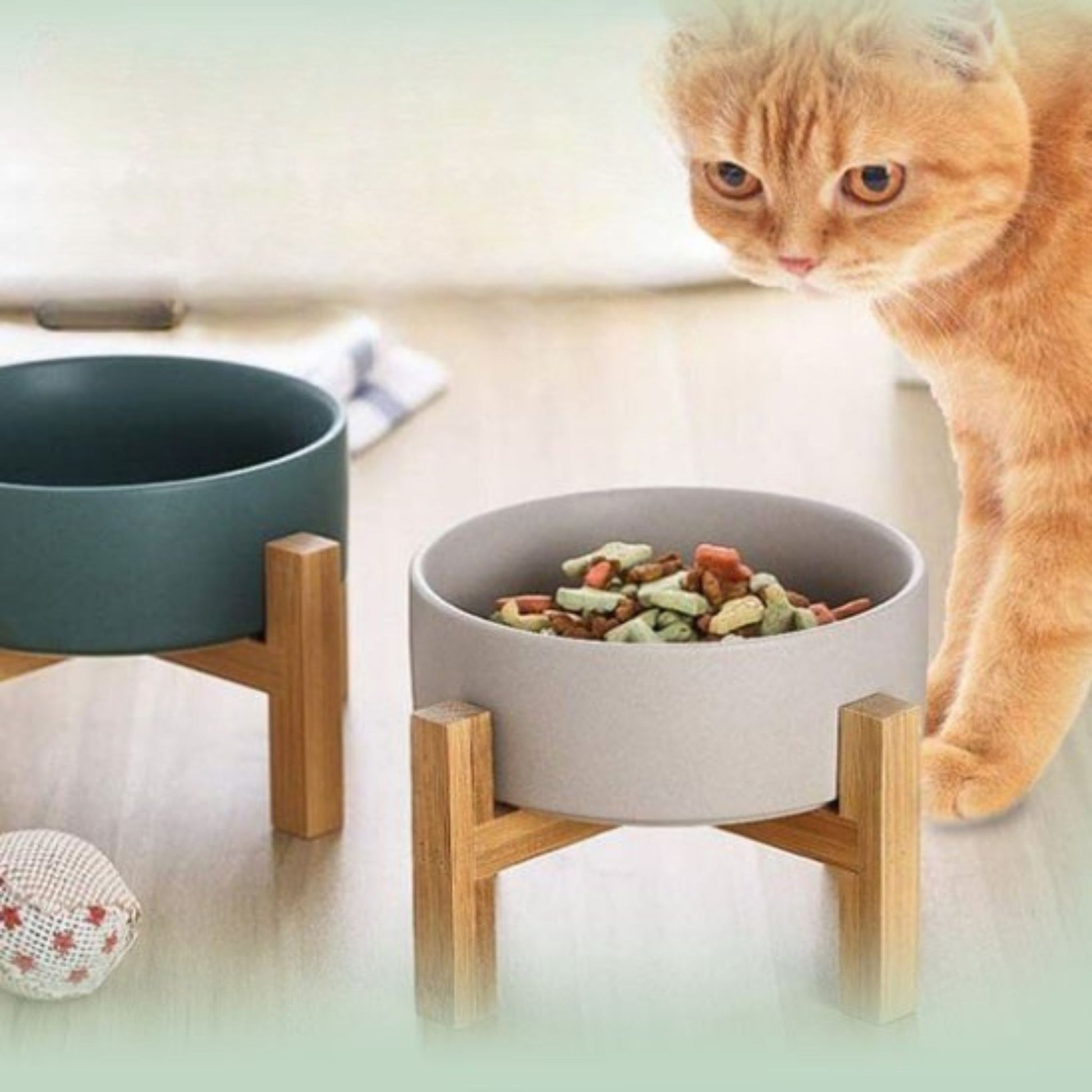 gamelle-chat-surélevée-durable-céramique