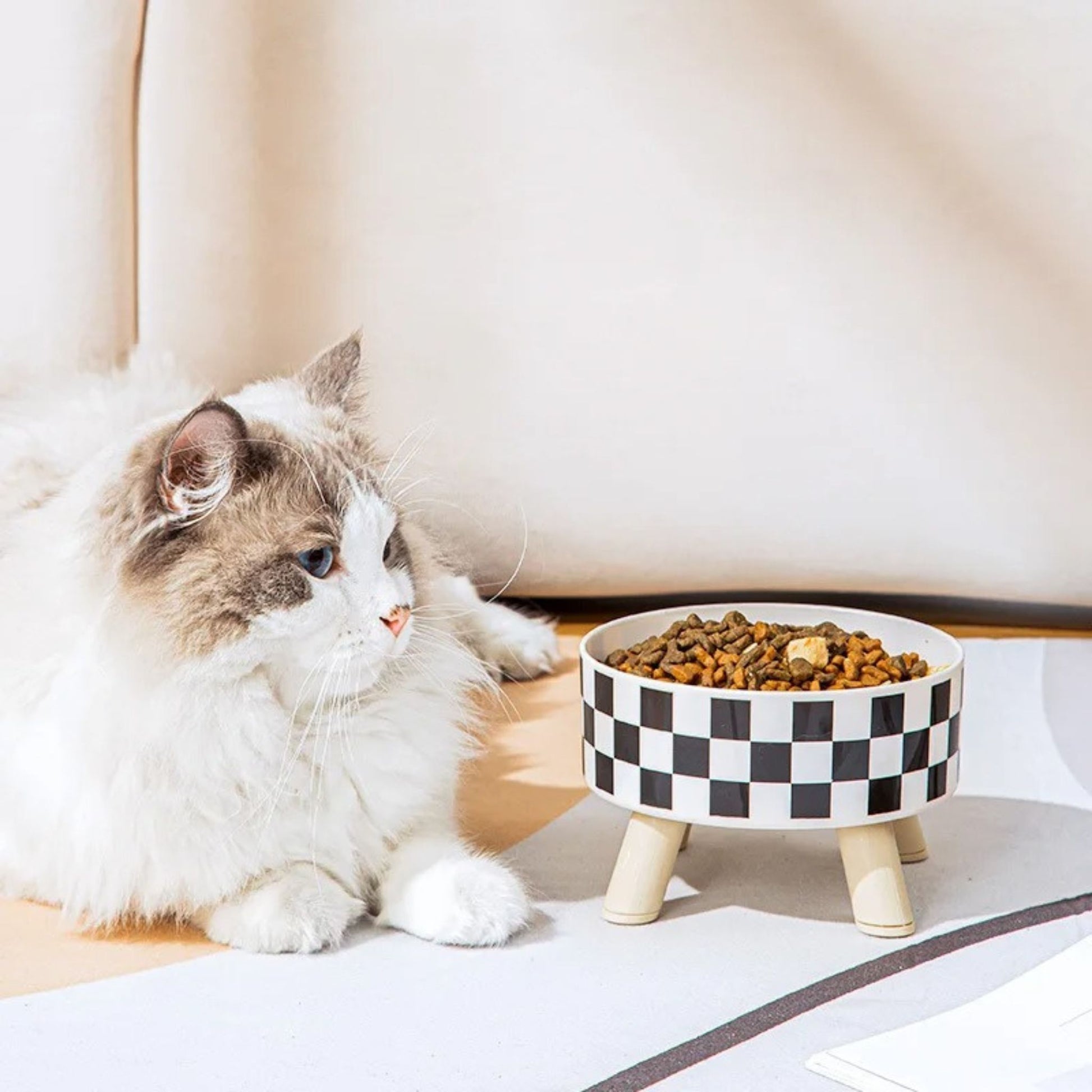 gamelle-chat-surélevée-élégante