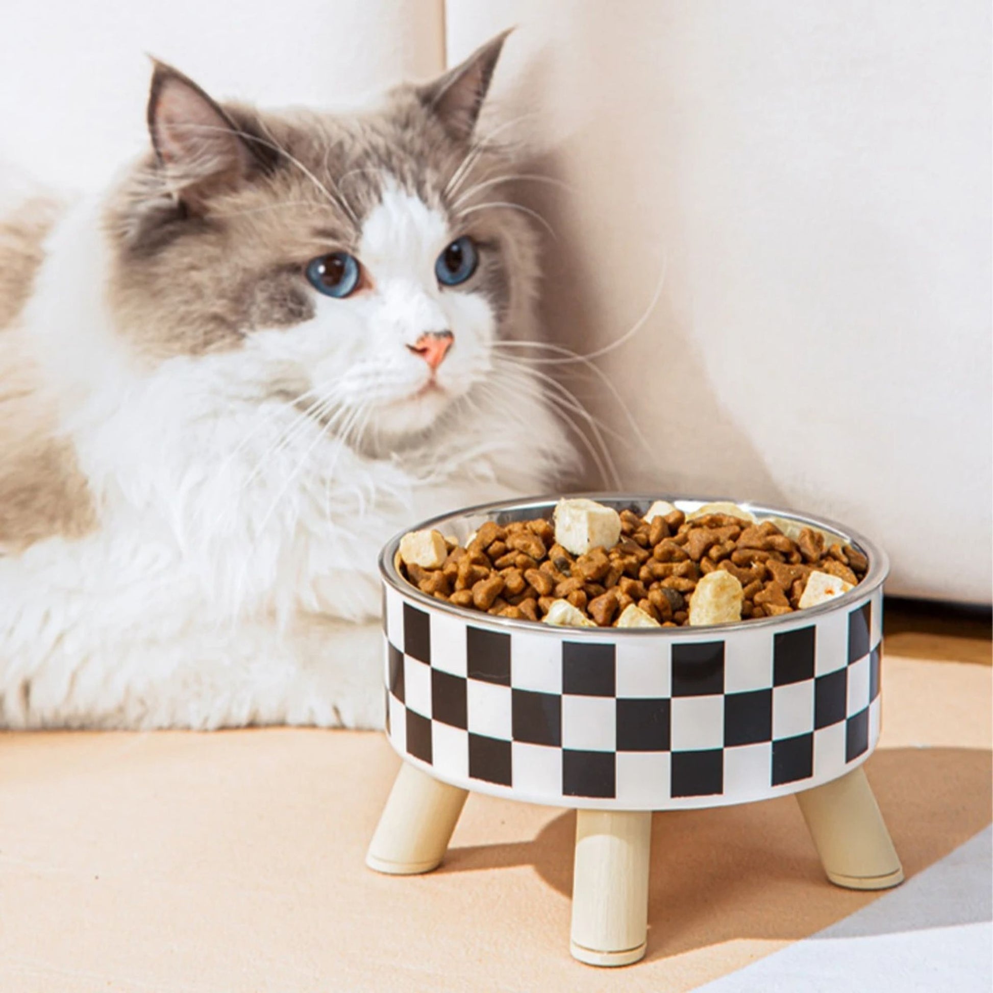 gamelle-chat-surélevée-esthetique