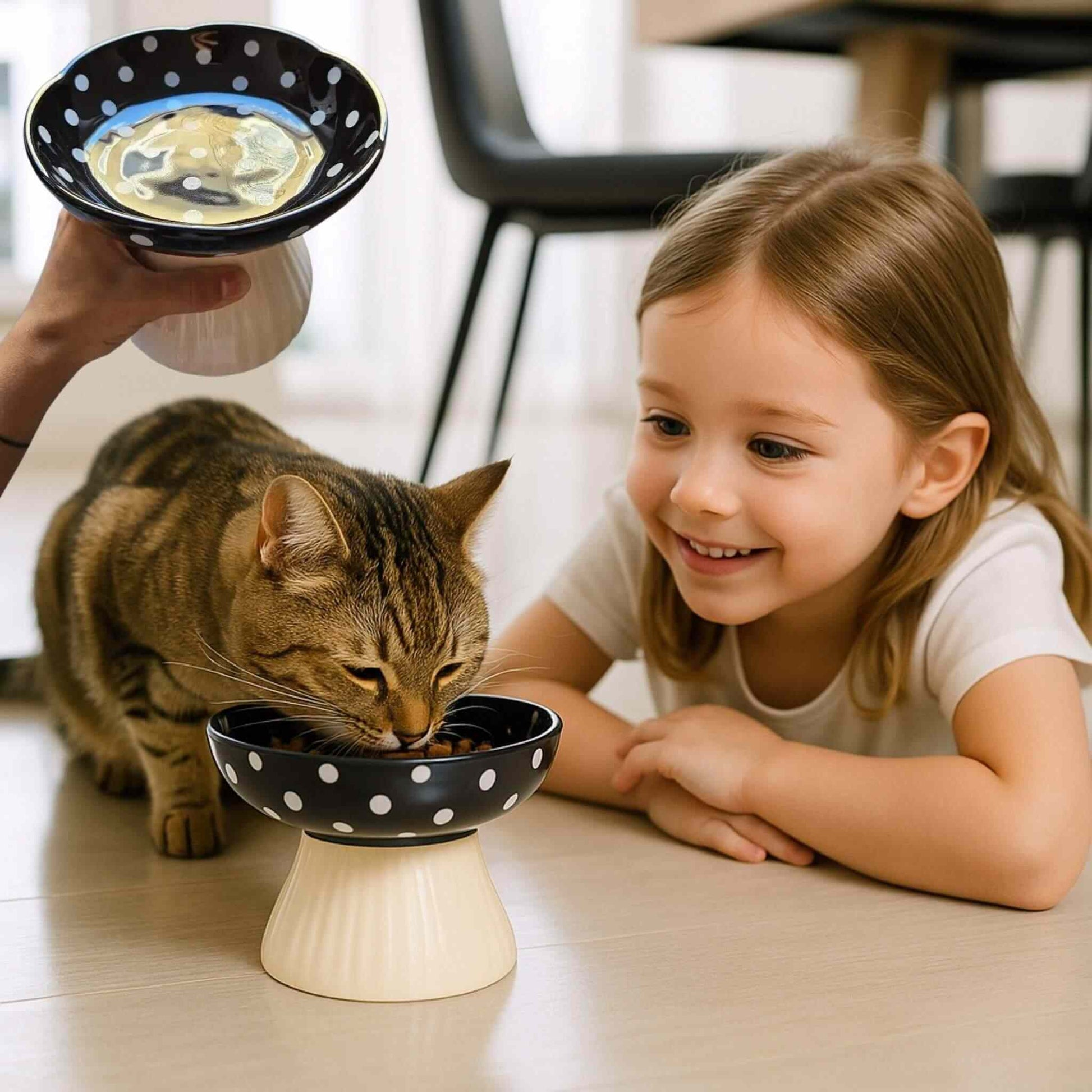 gamelle-chat-surélevée-noir