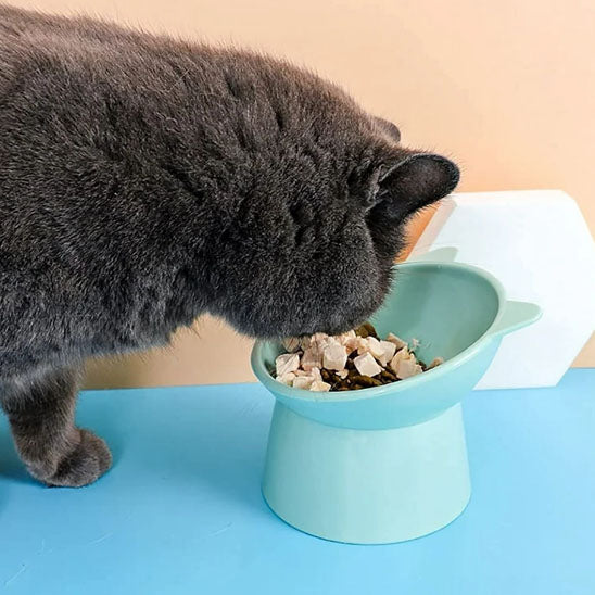 gamelle-chat-surélevée-pratique-verte
