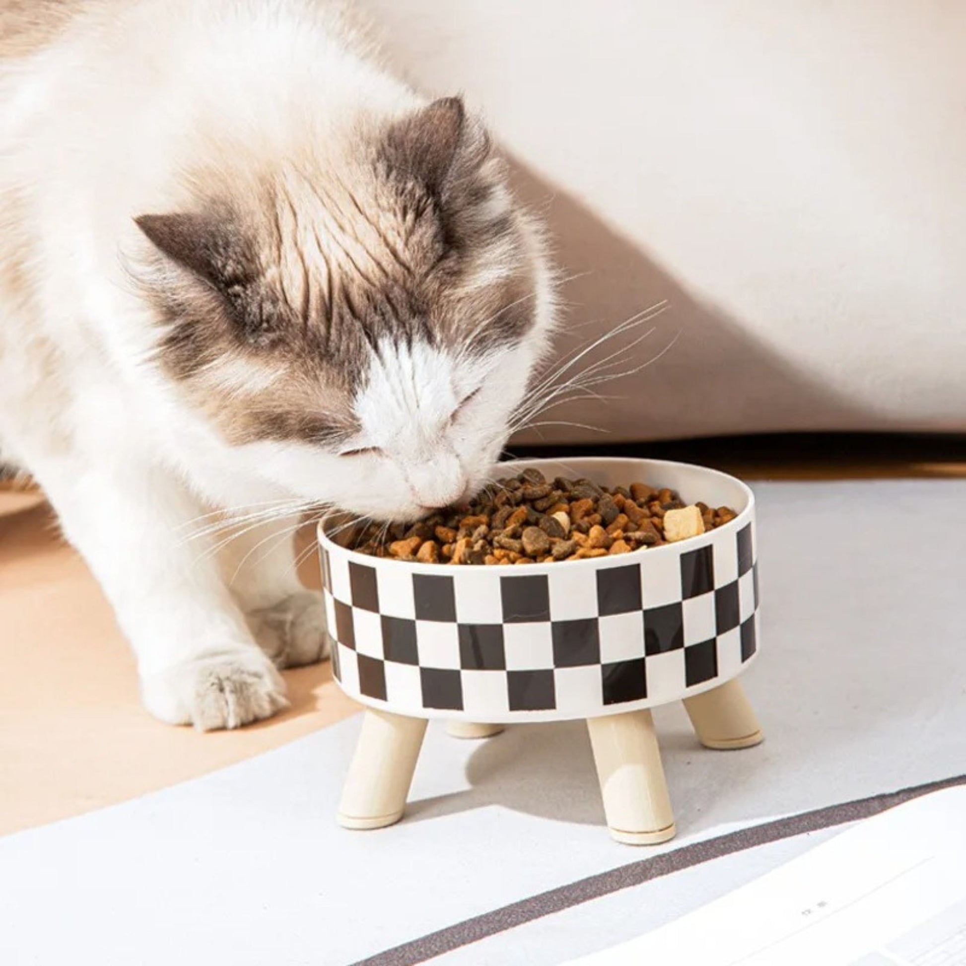 gamelle-chat-surélevée-repas-cool