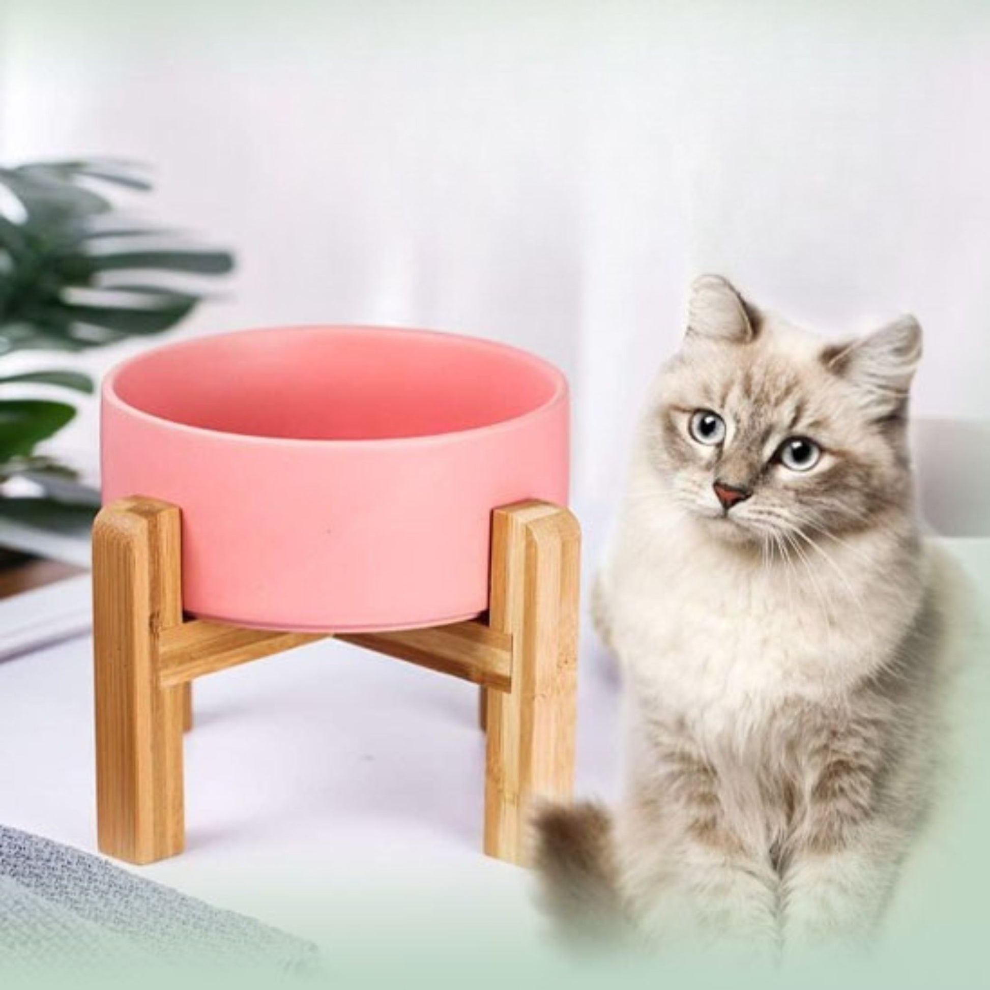 gamelle-chat-surélevée-rose-bois