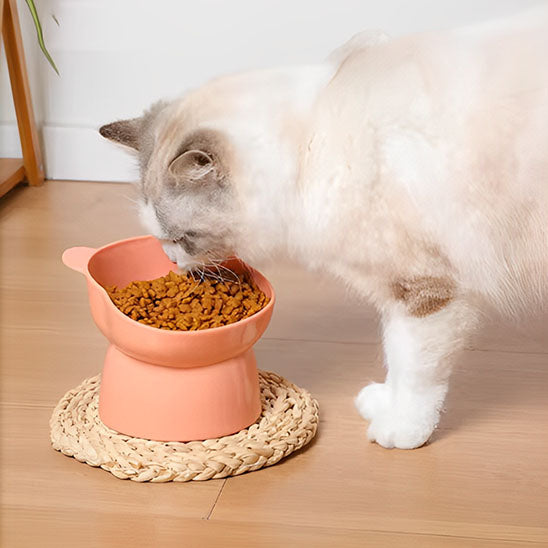 gamelle-chat-surélevée-rose-durable